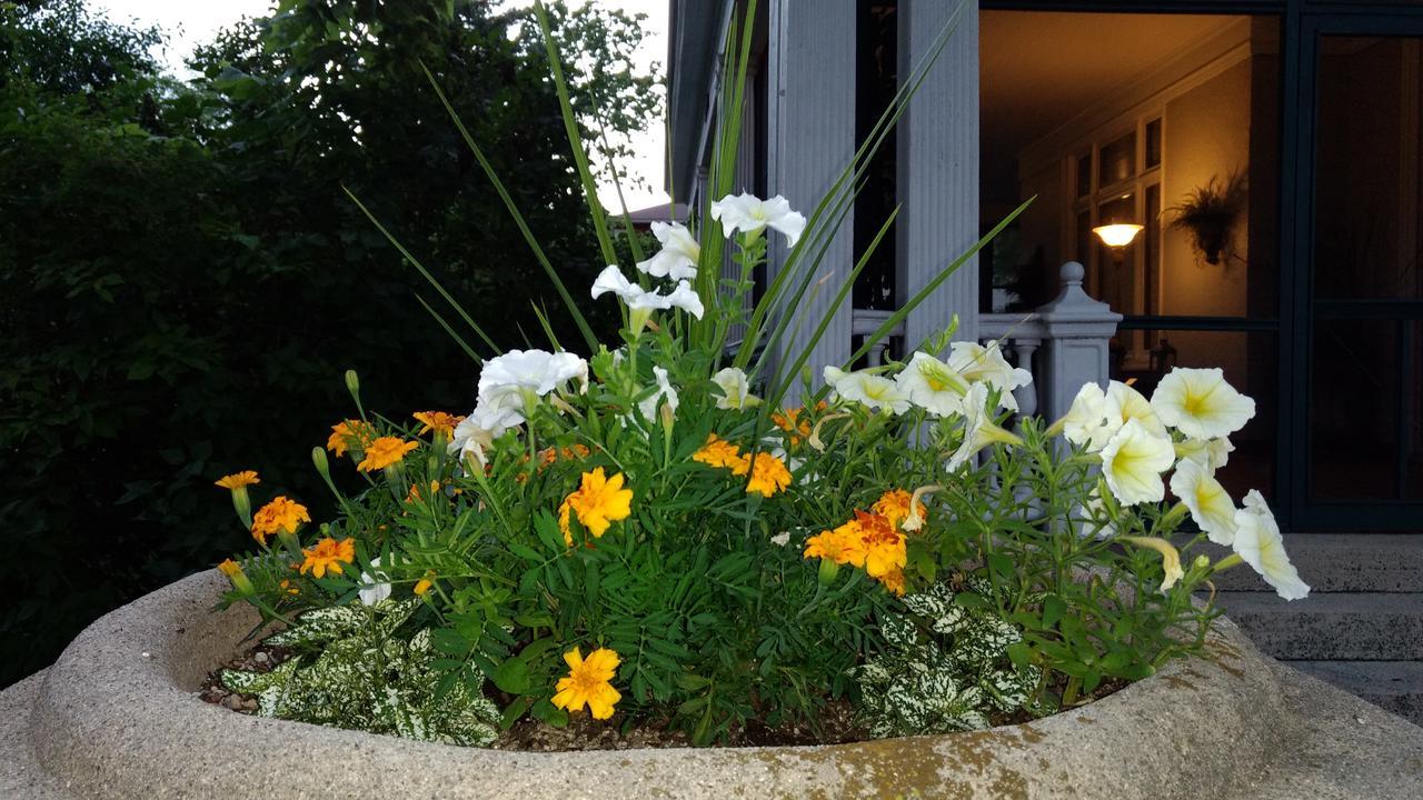 Alexander Mansion Bed & Breakfast Winona Εξωτερικό φωτογραφία